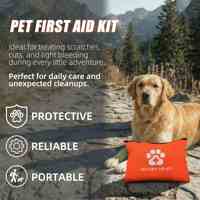 Sac en nylon pour animaux de compagnie Baiyuheng Trousse de premiers soins certifiée CE Boîte de premiers soins portable en plein air
