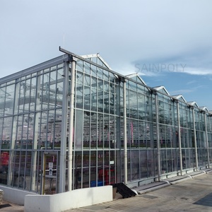 Vendita diretta della fabbrica di serre vittoriane di alta qualità, grandi serre commerciali serre di vetro - Product Image 2