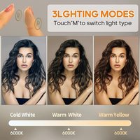 Miroir de bureau argenté Décor Miroir de maquillage LED avec 15 gradateurs tactiles Ampoule LED Miroir éclairé Coiffeuse