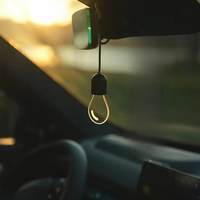 Nouvelle ampoule LED MUZHIKAI 6V mini très vendue pour la décoration d'ambiance intérieure de voiture