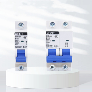 เบรกเกอร์ CB-60A สำหรับพลังงานใหม่ 110V 220V MCB เบรกเกอร์วงจรขนาดเล็ก 1P 2P 40A สวิตช์อากาศ ระบบกักเก็บพลังงาน - Product Image 1