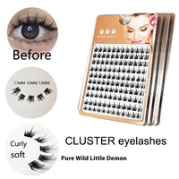 Auto-greffage Cluster Segment Diy Lash Extension Vente en gros Pré-colle Cat Eye Lashes Lash Extension Wispy Faux Cils