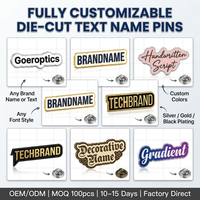 Épinglette personnalisée en alliage de zinc avec émail souple, forme de texte découpée au laser, finition nickel brillant |   Fabricant de badges de logo de marque OEM