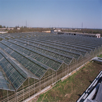 Grande serre agricole multi-chapelles en verre de type Venlo, structure en acier galvanisé à chaud, taille personnalisable, ventilation pour légumes