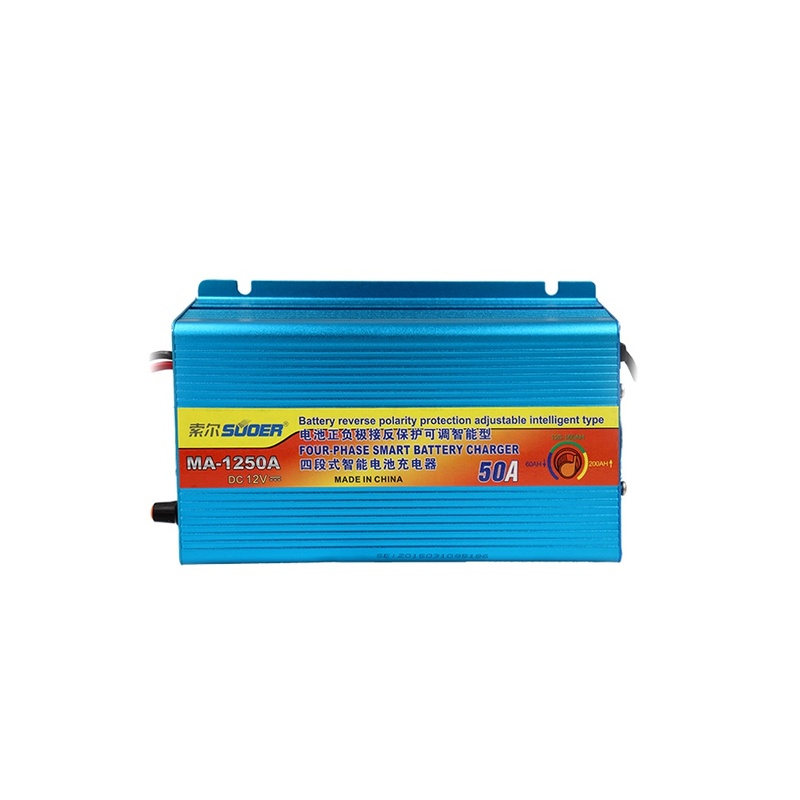 12V 24V 10A 20A Lead Acid