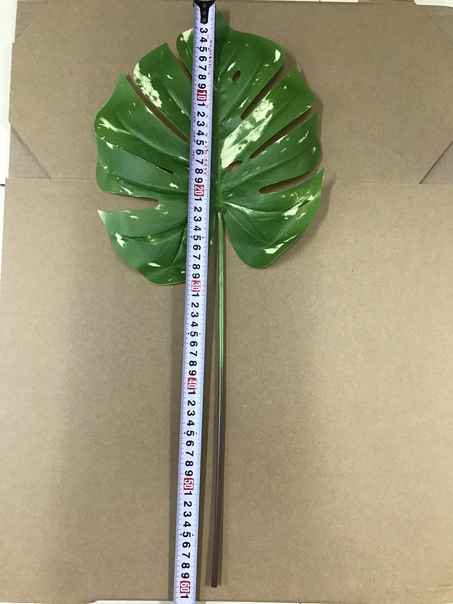 # 1 (environ 60 cm)
