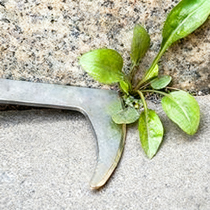 Cuchillo de Gancho Dentado Portátil con Mango de Goma - Raspador de Acero Inoxidable de 34.5cm para Limpieza y Jardinería - Product Image 6