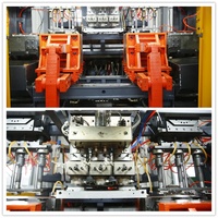 Petite machine de moulage par soufflage de bouteille de HDPE de haute précision de niveau à faible bruit flexible de la fabrication 60U 2 litres