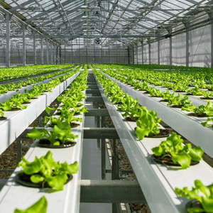 Équipement <span class=keywords><strong>professionnel</strong></span> <span class=keywords><strong>de</strong></span> grande serre, facile à nettoyer, durable, tuyau <span class=keywords><strong>de</strong></span> culture NFT en PVC <span class=keywords><strong>de</strong></span> qualité alimentaire, cultivateur <span class=keywords><strong>de</strong></span> laitue - Product Image 2