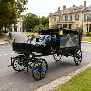 Nuevo Carro Fúnebre Personalizable con Caballos, Elegante Carroza para Ataúdes, para Transporte en Iglesia o Camión, para Funerales Especiales - Product Image 2