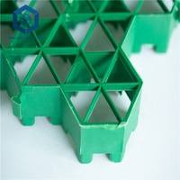 Grille de pavage en gazon pour toits verts au Sri Lanka