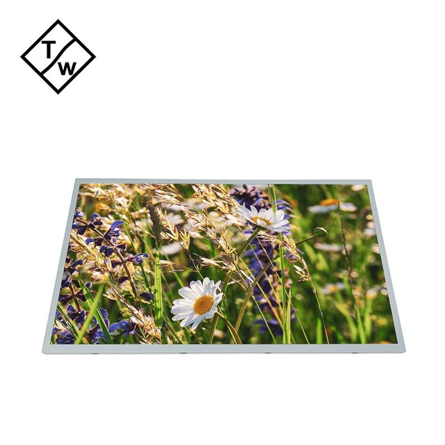 High Quality BOE MV185WHB-N20 18.5 Inch LCD Panel TFT LED Type
