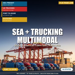 ZS LOGISTICS Transporte Marítimo LCL de China a EE. UU./Arabia Saudita/Emiratos Árabes Unidos, DDP Puerta a Puerta con Seguro y Tiempo de Tránsito de 15-35 Días - Product Image 5