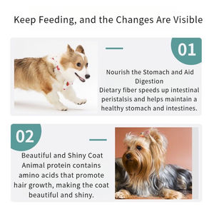 מותאם אישית מזון יבש מזון כלבים יבש עבור המותג שלך - Product Image 5