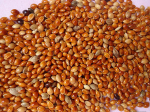 Rosso <span class=keywords><strong>giallo</strong></span> <span class=keywords><strong>nero</strong></span> bianco miglio cibo Biidgies cibo Pellet cibo per uccelli per parrocchetti - Product Image 3