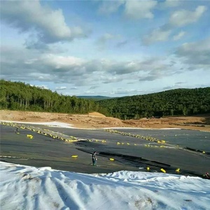 HDPE 연못 라이닝/댐 라이너/HDPE Geomembrane - Product Image 5