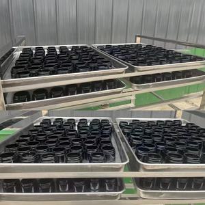 Fairitury venta al por mayor Original 30g Shilajit resina Fulvic pura Himalayan Shilajit resina pura Shilajit resina - Product Image 2