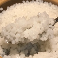 New Products Instant Natural Konjac Rice Shirataki Rice Konjac Granules Easy to Prepare Healthy Food