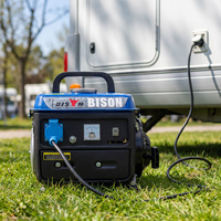 Générateur portable professionnel à double carburant essence/GPL BISON(CHINA) ET950 6,5 ch 8/8,5 kW 50 Hz 17 ch Kw9500-vco Navigator