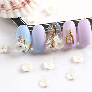 TSZS, venta al por mayor de fábrica, arte de <span class=keywords><strong>uñas</strong></span>, flor de concha Real Natural, decoración de <span class=keywords><strong>uñas</strong></span> <span class=keywords><strong>3D</strong></span>, diamantes de imitación para <span class=keywords><strong>uñas</strong></span> acrílicas - Product Image 4