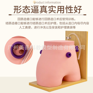 Modèle de soins pour stomies fistulaires ; Modèle d'entraînement aux fistules ; Colostomie ; Modèle d'iléostomie - Product Image 5