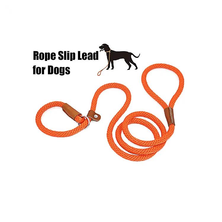 Heavy Duty No Pull Training Lead Leashes Dog Leash Braided Slip Rope Lead Leash