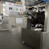 Ligne de production de sucettes à grande vitesse entièrement automatique-Équipement industriel de fabrication de sucettes pour la production de masse