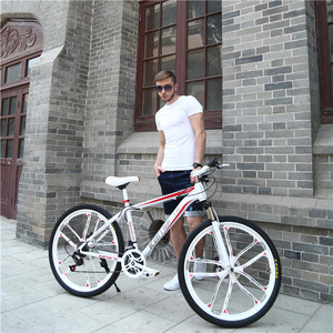 L'importateur hachoir pièces <span class=keywords><strong>de</strong></span> rechange pour adultes route vtt pliable pour enfant 26 pouces enfant <span class=keywords><strong>chaine</strong></span> hybride plié remorque vélo - Product Image 3