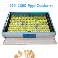 Incubateur à œufs de poulet entièrement automatique Alimentation AC/DC 96 œufs Incubateur de petite taille Reptile Autruche Dinde Fourni Assistance en ligne