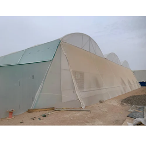 Estructura de Invernadero de Polietileno de Alta Resistencia y Durabilidad con Cubierta Resistente a los Rayos UV para Vegetales, Frutas y Flores - Product Image 4