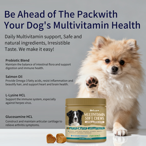 أقراص متعددة الفيتامينات للكلاب والقطط والحيوانات الأليفة لدعم صحة الجهاز الهضمي والدعم الموسمي للصحة، مكملات فيتامينات للعناية بصحة الحيوانات الأليفة (تصنيع حسب الطلب/تصميم حسب الطلب) - Product Image 5