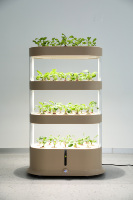 Système de culture hydroponique automatique pour le jardin à domicile Éclairage LED Jardinière intelligente Pots de fleurs Kit d'herbes d'intérieur hydroponique