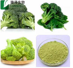 Polvere di Germogli di Broccoli, Polvere di Broccoli, Magazzino USA - Product Image 4