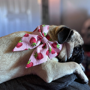 Aksesori Kustom bermotif Set harnes anjing peliharaan terbalik produsen Label pribadi harnes dan tali kucing Perro - Product Image 6