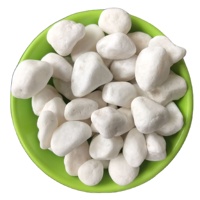 Pierres de pas de jardin en pierre naturelle de cailloux de roche de rivière blanche pure Offre Spéciale pour une utilisation en extérieur