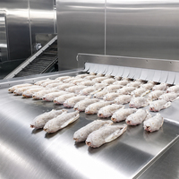 Industriële snelvriesinstallatie met vloeibare stikstof voor het vriesen van verse, diepvries visfilets en Mittenkrab.