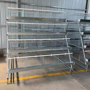 Cage à poules automatique de <span class=keywords><strong>type</strong></span> <span class=keywords><strong>A</strong></span> en acier galvanisé à chaud durable pour l'élevage avicole - Product Image 5