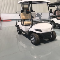 Nouvelle voiturette de golf électrique 72V à 2 places, mini-bus de tourisme avec moteur AC, construction en acier, puissance 5KW