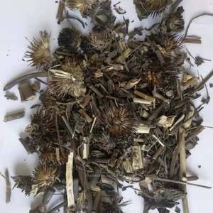 Khô Echinacea rễ cắt sifted Echinacea Purpurea tự nhiên hoang dã Crafted Nguyên Thảo Mộc Trà thảo dược/thuốc/chiết xuất/bột OEM chấp nhận - Product Image 3