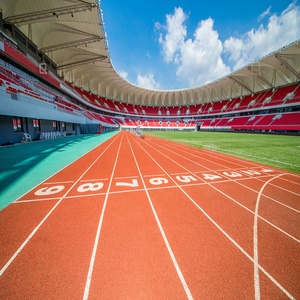 フライオン13mmタータントラックスポットフローリングフルポアアスレチックランニングトラック - Product Image 3