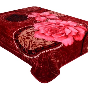 Hàn Quốc chồn siêu mềm raschel chăn bán buôn Polyester 8 kg cho mùa đông thăng hoa chăn - Product Image 5