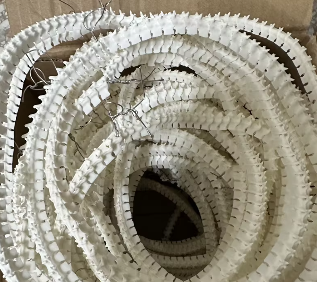 แบบสุ่ม