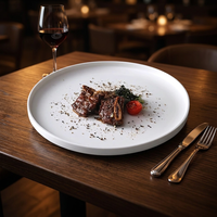 Assiettes en porcelaine nordique, compatibles micro-ondes, pour la restauration, idéales pour les pâtes, les steaks, les pizzas et les petits-déjeuners.