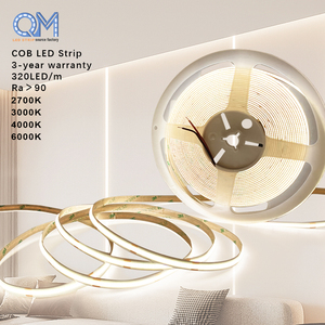 Bande LED à double couleur COB 2700K-6500K Led 12V 24V COB Led Strip blanc/chaud blanc/rouge/bleu/vert Options de couleur - Product Image 1