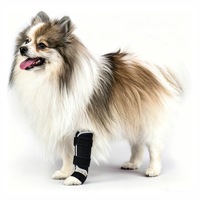 Attelle Professionnelle pour Patte de Chien, Étanche IP67, en Polyester, Soutien Articulaire Carpal Tarsal, pour la Récupération des Blessures, Enveloppement de Patte Arrière ou Avant
