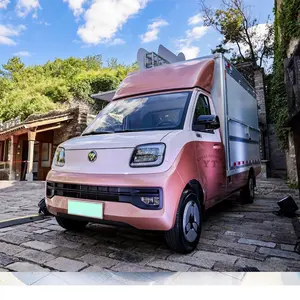 Mini camioncino elettrico nuovo di zecca a buon mercato della fabbrica della cina con approvazione cee COC