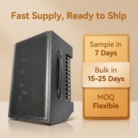 Altavoz Bluetooth para Guitarra Directo de Fábrica con Batería Recargable Integrada para Transmisión en Vivo