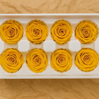 8 Buah Kotak Mawar Awet Warna Kuning, Mawar Abadi Alami, Bunga Stabil untuk Kerajinan DIY, Dekorasi Rumah, Pernikahan, Hadiah Valentine