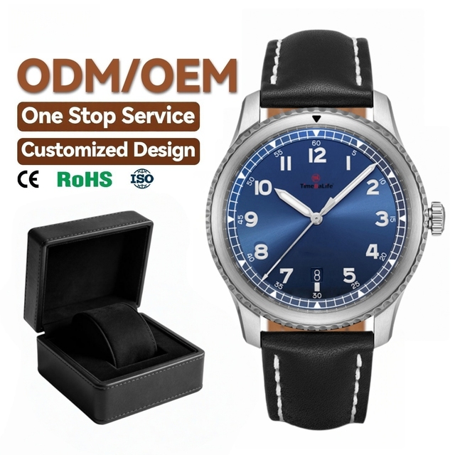 OEM Full Custom Pilot Mechanical Watch 316L Stainless Steel Polished Case Sunburst Dial Chapter Ring with SEIKO NH35 Movement