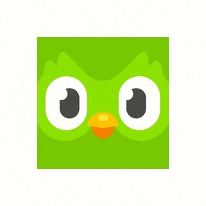 Cuenta Premium de Duolingo Pro, 1 Año, Aplicable Globalmente, Activa Tu Propia Cuenta - Product Image 4